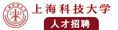 大鸡巴操骚逼爽歪歪视频